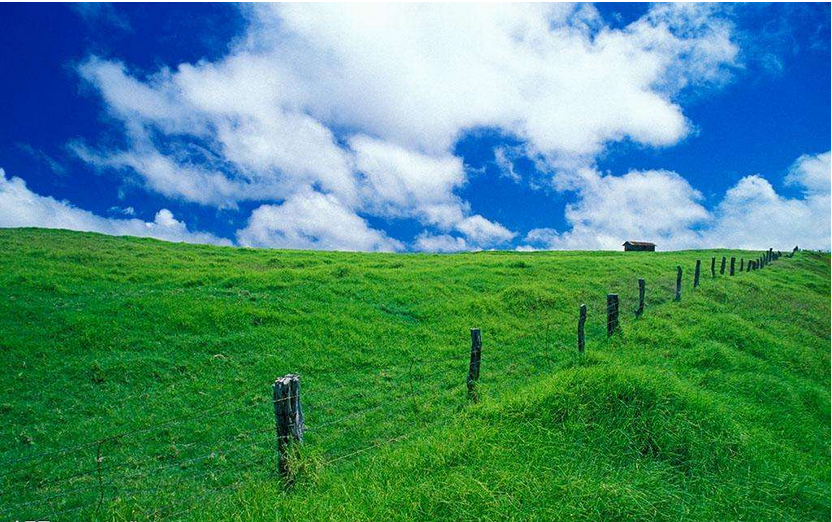 �h(hu��n)���ИI(y��)���u��ӯ���� ������h�����ɿڡ����X��