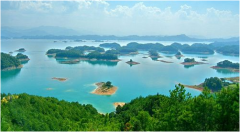 ��ΰ��Ռ�����Ч�����ܲ��������h�y���|�O�����M���g�����v