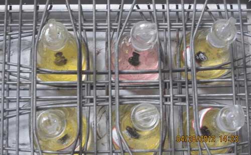 �׻���ģ�M�Uˮ�������ⷽ�����D�ģ�