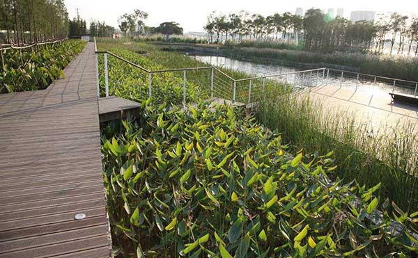 ˮƽ�����˹����