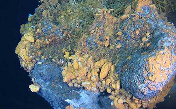 ʲô������