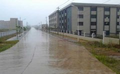 �����V�����I�@�^Ԕ����B