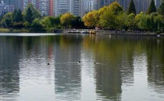 һ�N���ͺ�ˮ�������g