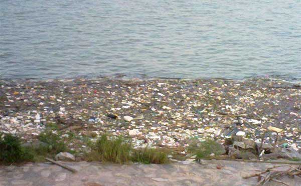 �S��ˮ��Ⱦ