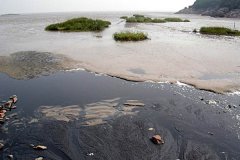 ����������h���������B͸Һ̎����ˇ�{�S����