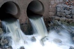 今年南昌將新建紅角洲水廠水質自動監測站 今年南昌將新建紅角洲水廠水質自動監測站