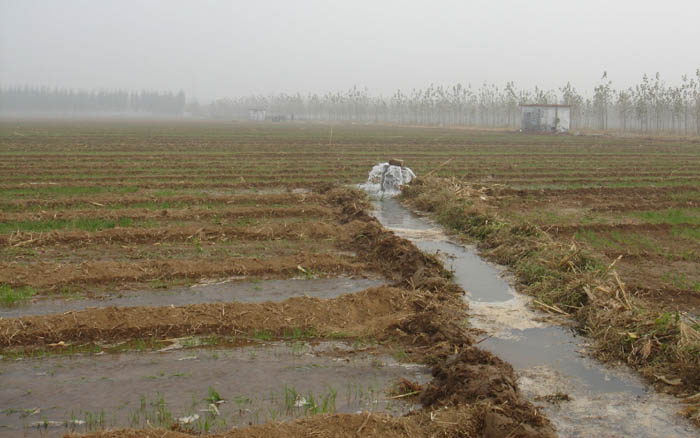 農(nóng)村污水處理廠可以讓百姓放心澆灌農(nóng)田 農(nóng)村污水處理廠可以讓百姓放心澆灌農(nóng)田