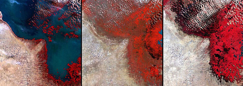 ���޵�է�ú�