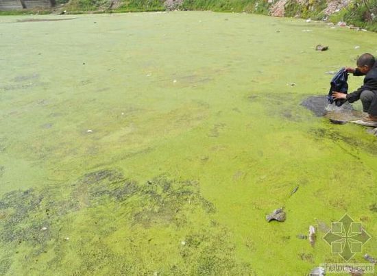 �Ї�ˮ��Ⱦ���}�܇��� �������ο��ׂ�����