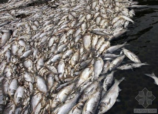 �Ї�ˮ��Ⱦ���}�܇��� �������ο��ׂ�����