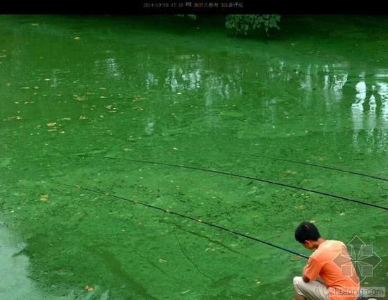 �Ї�ˮ��Ⱦ���}�܇��� �������ο��ׂ�����