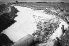 2014���S�ӺӶΣ�һ�����χ�(y��n)����Ⱦ���D�ģ�