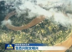 �h��ʮ�˴��ԁ�(l��i)����(x��)��ƽ����ӛ�߶���ҕ���B(t��i)�������O(sh��)���D�ģ�