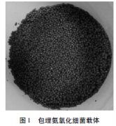 �ϳɰ����I�Uˮ���̎��