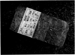 �����ƴu���g(sh��)